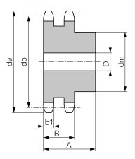 Koło łańcuchowe z piastą hartowane zęby dwurzędowe 1''''x17,02'''' Z25 - 2