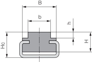 Prowadnica łańcucha rolkowego jednorzędowego, typ T, w stalowym C-profilu profil 6, 1/2”x5/16” - 2